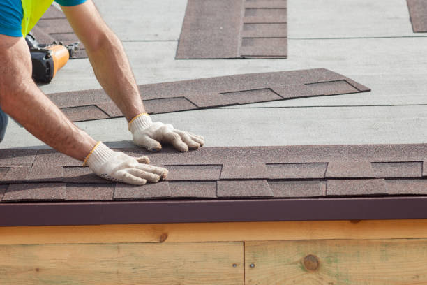 Best Roof Maintenance and Cleaning  in Creola, AL